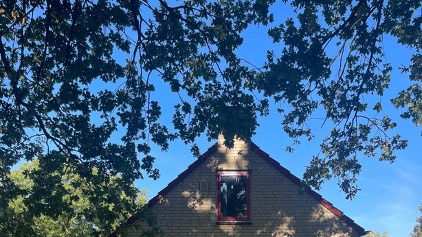 A small brick building with a red door, a small window, and a mailbox. - Sunny Family Bungalow by the Lake (Ewijk)