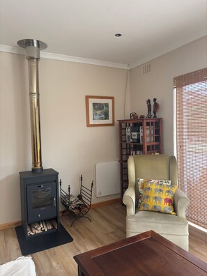 Televisión y chimenea