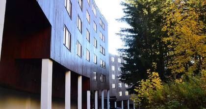 2-room Apartment for 6 People Close to the Slopes, Shops, Daycare and ESF in the Center of the Arc 1800 Resort