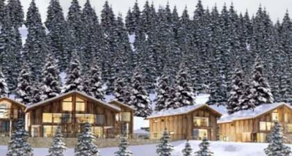 Sublime Chalet for 16 People With Sauna & Jacuzzi!