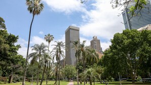 A park with a pathway, palm trees, and tall buildings in the background.