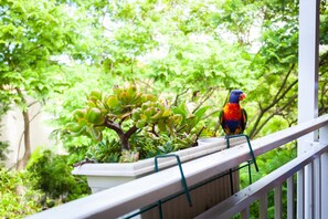 Apartment | Property grounds