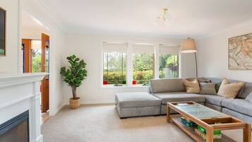 Apartment | Living room | Fireplace