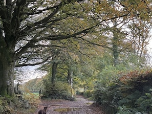 Småhus | Overnattingsstedets uteområder