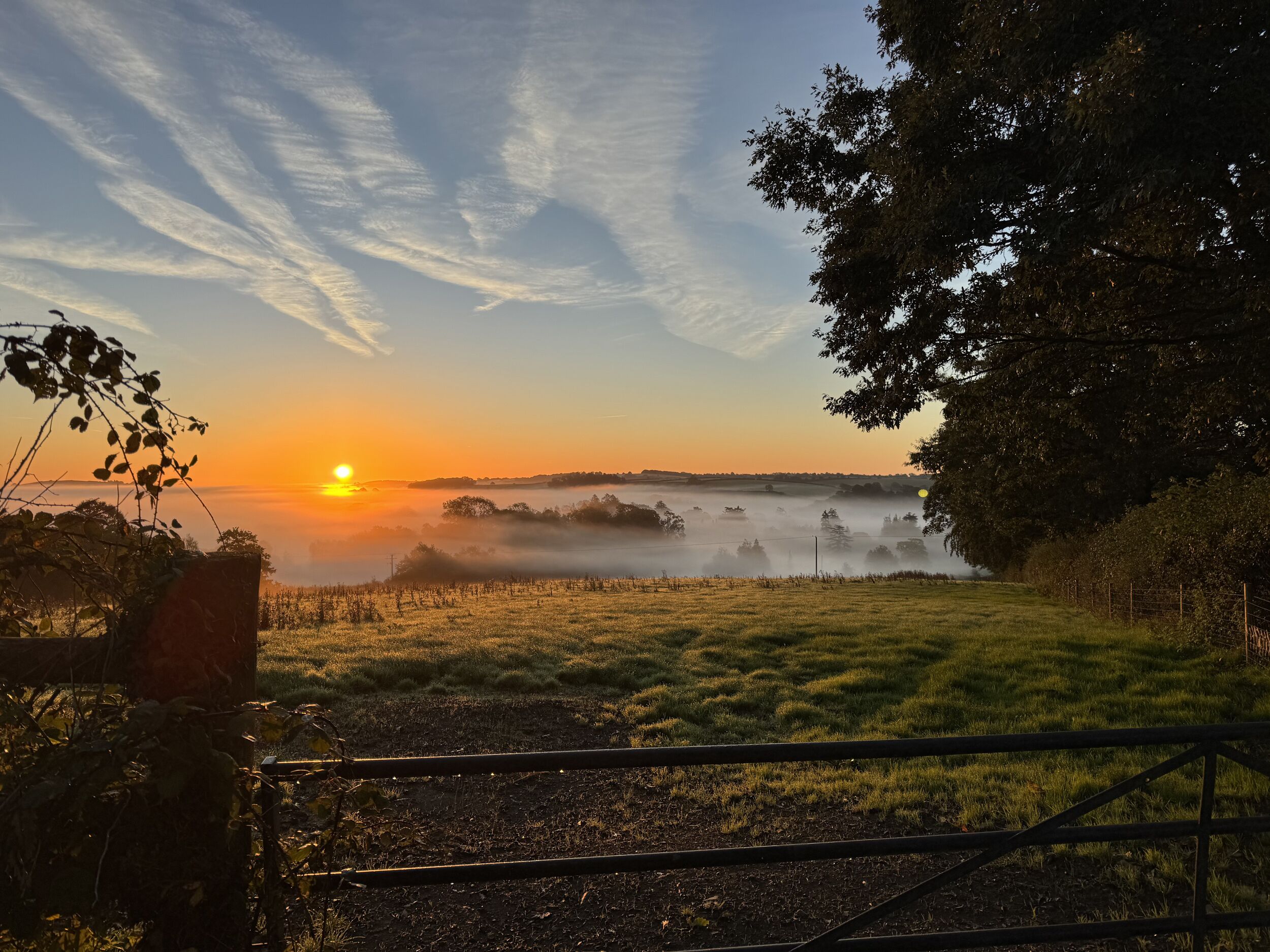 Paesaggio rurale all'alba, con una recinzione in primo piano e alberi sulla destra.
