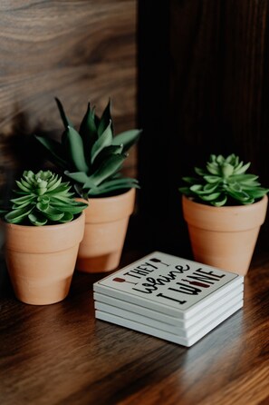 Trois pots en terre cuite contenant des plantes succulentes et une pile de cartes à jouer, le tout posé sur une surface en bois.