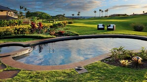 Una piscina con borde curvo, rodeada de césped cuidado y plantas tropicales.