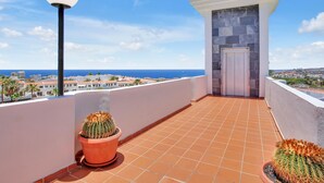 Una terrazza sul tetto con vista sul mare, cactus in vaso e una porta che dà su un ambiente interno.