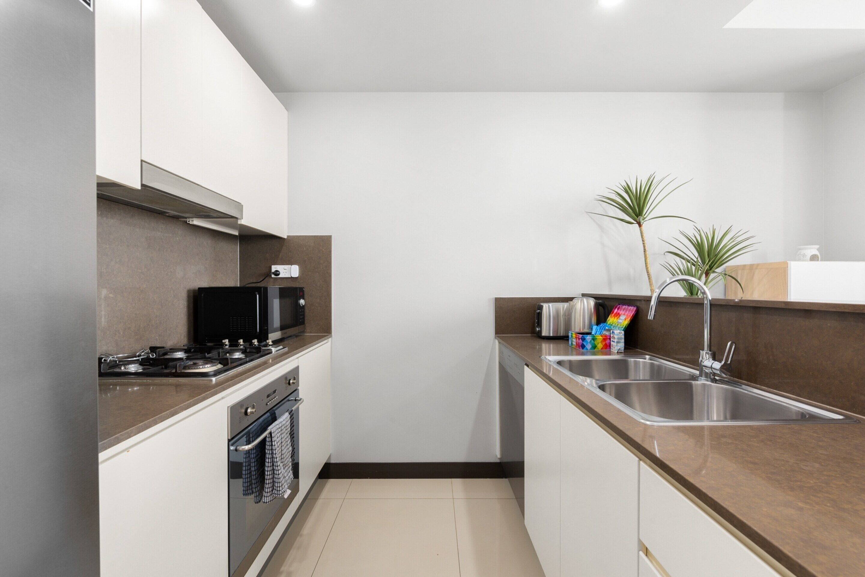 A modern kitchen with stainless steel appliances, a microwave, a sink, and a plant.