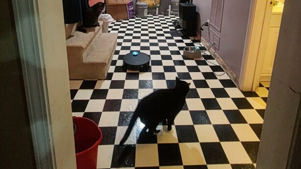 Un pasillo estrecho con piso de cuadros que lleva a una zona de cocina con refrigerador, microondas y lavaplatos. Se ve un gato en el suelo, y hay un cubo rojo a la izquierda.