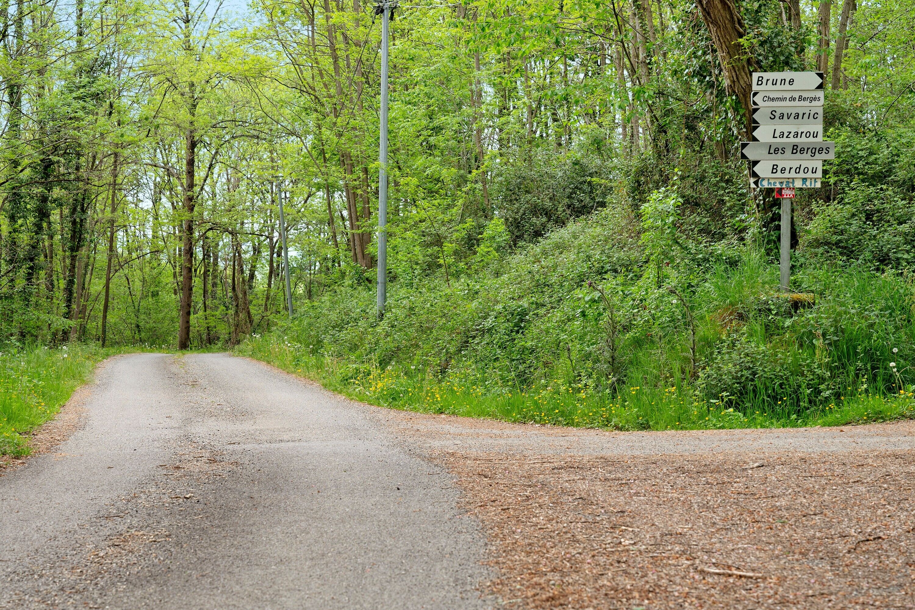 A rural road with a directional signpost surrounded by dense greenery.