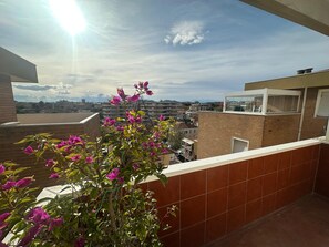 A rooftop with a view of a cityscape, a balcony with a plant, and a clear sky.