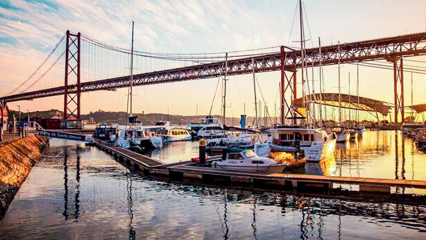 Un porto turistico con barche ormeggiate sotto un grande ponte.