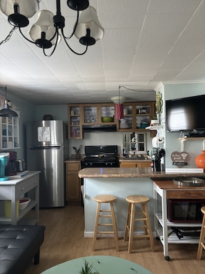 Private kitchen - Charming 2-bedroom cottage in nice Moultonborough with AC (Moultonborough)