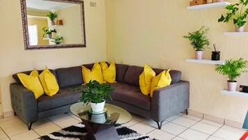 Smart TV, Netflix, streaming services