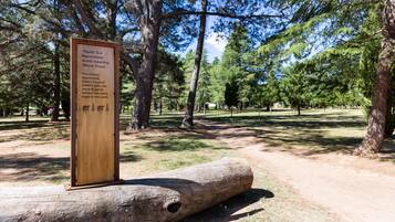 House | Property grounds