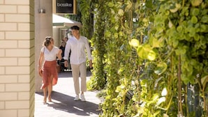 Un sentier bordé d’une végétation luxuriante et verdoyante, avec un panneau indiquant « bassike ».