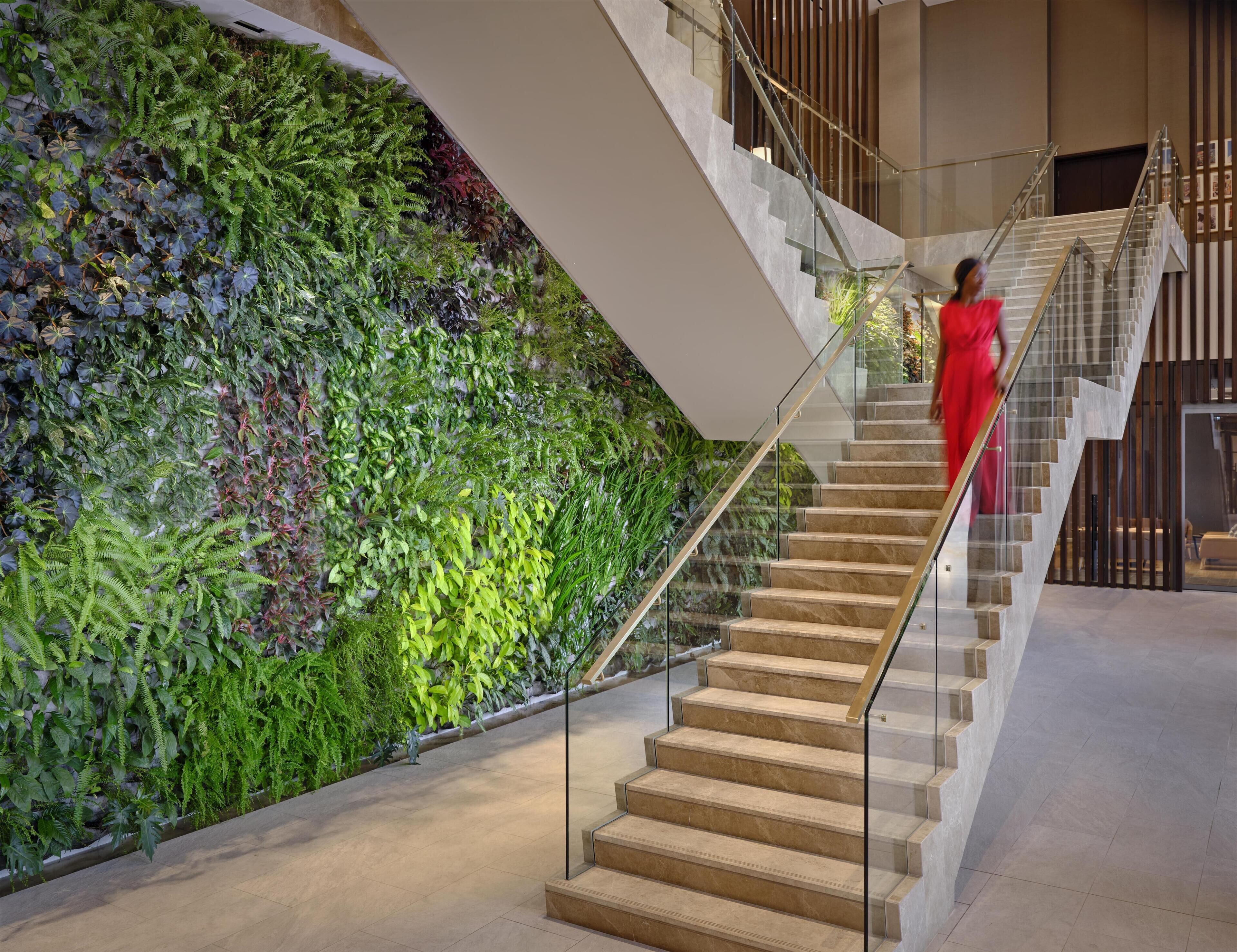 A staircase with glass railings leading to a lower level, surrounded by a lush vertical garden.