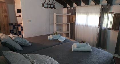 Typical Andalusian Holiday Home With Private Pool Surrounded By Olive Groves