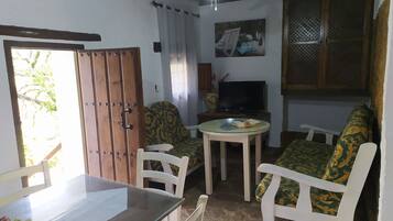 House, 4 Bedrooms, Smoking, Private Pool | Living room | Books