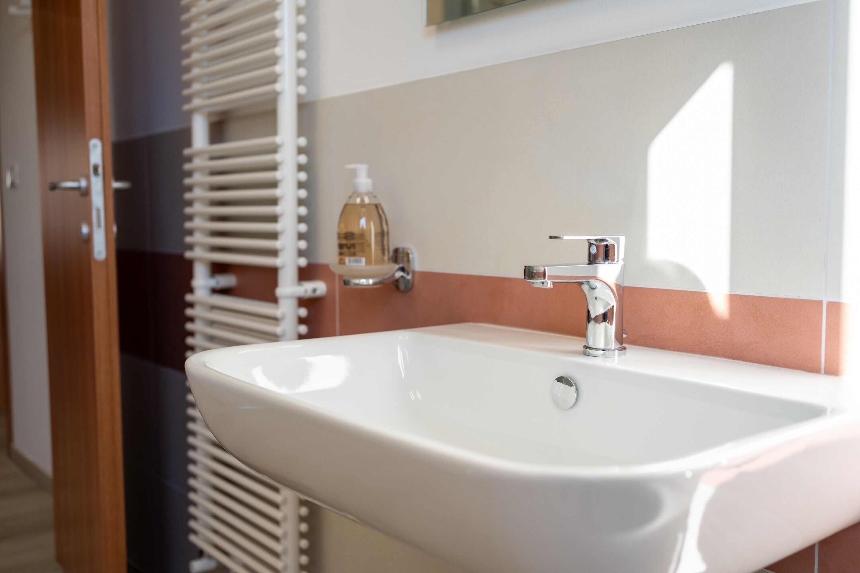 Ducha, secador de pelo y toallas