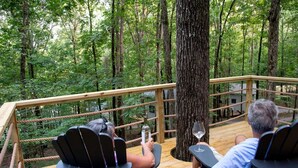 A wooden deck with rope railings overlooking a forest.
