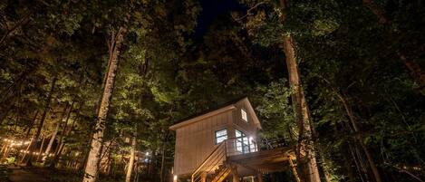 A cabin in a forest with a wooden staircase leading to a windowed entrance.