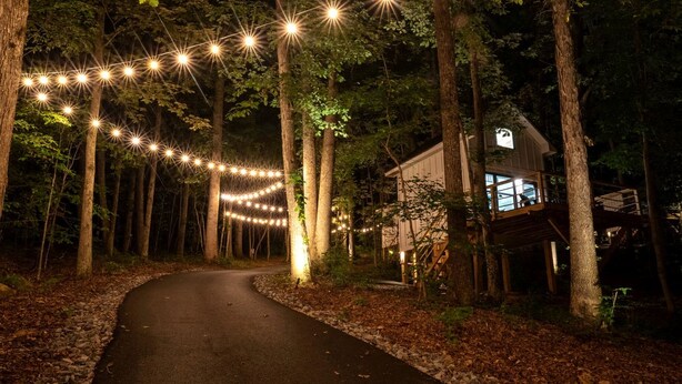 A forest path leading to a cabin with string lights overhead.