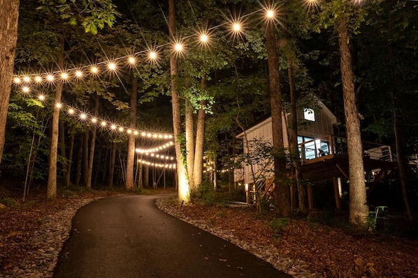 A forest path leading to a cabin with string lights overhead.