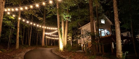 Un sendero en el bosque que conduce a una cabaña con luces colgantes.