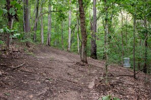Zona boscosa con un sendero de tierra y una estructura metálica, presumiblemente un comedero para pájaros, entre árboles altos.