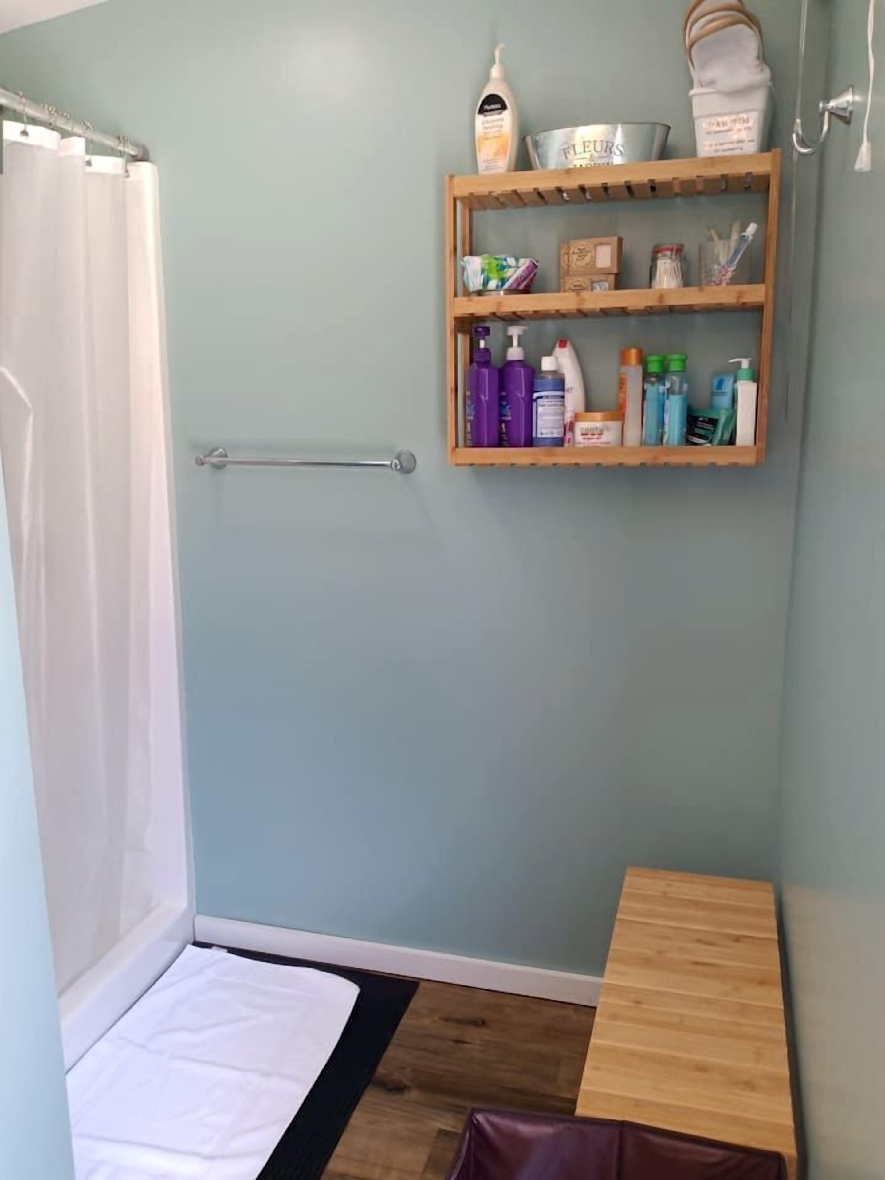Hair dryer, towels, soap, shampoo