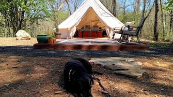 Une tente avec un lit et un coin salon, un chien allongé par terre et une chaise.