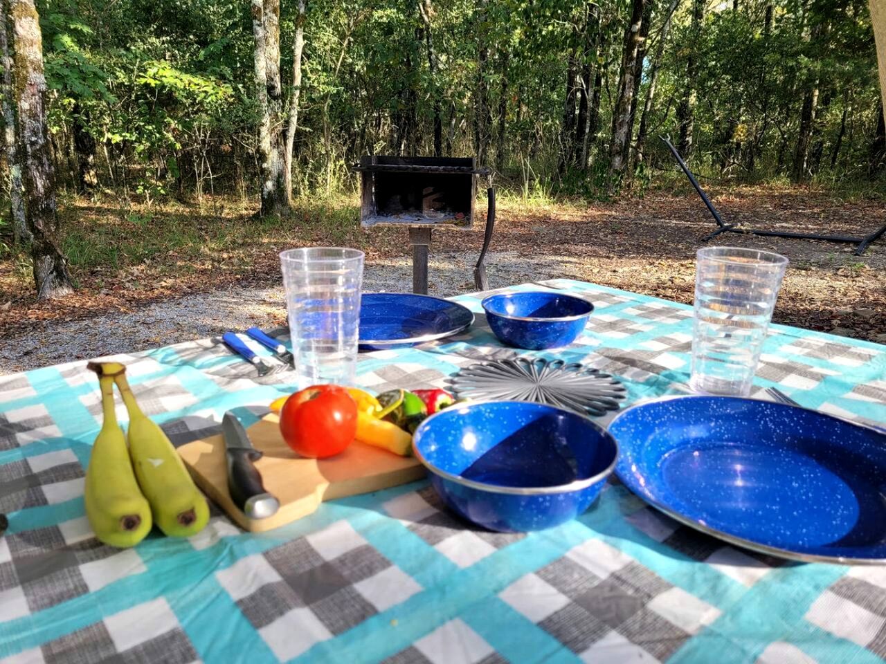 A picnic setup with a checkered tablecloth, blue plates, and utensils, surrounded by trees.