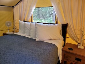 1 多间卧室、客房内保险箱、床单