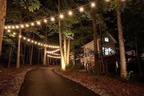 A forest path leading to a cabin with string lights overhead.