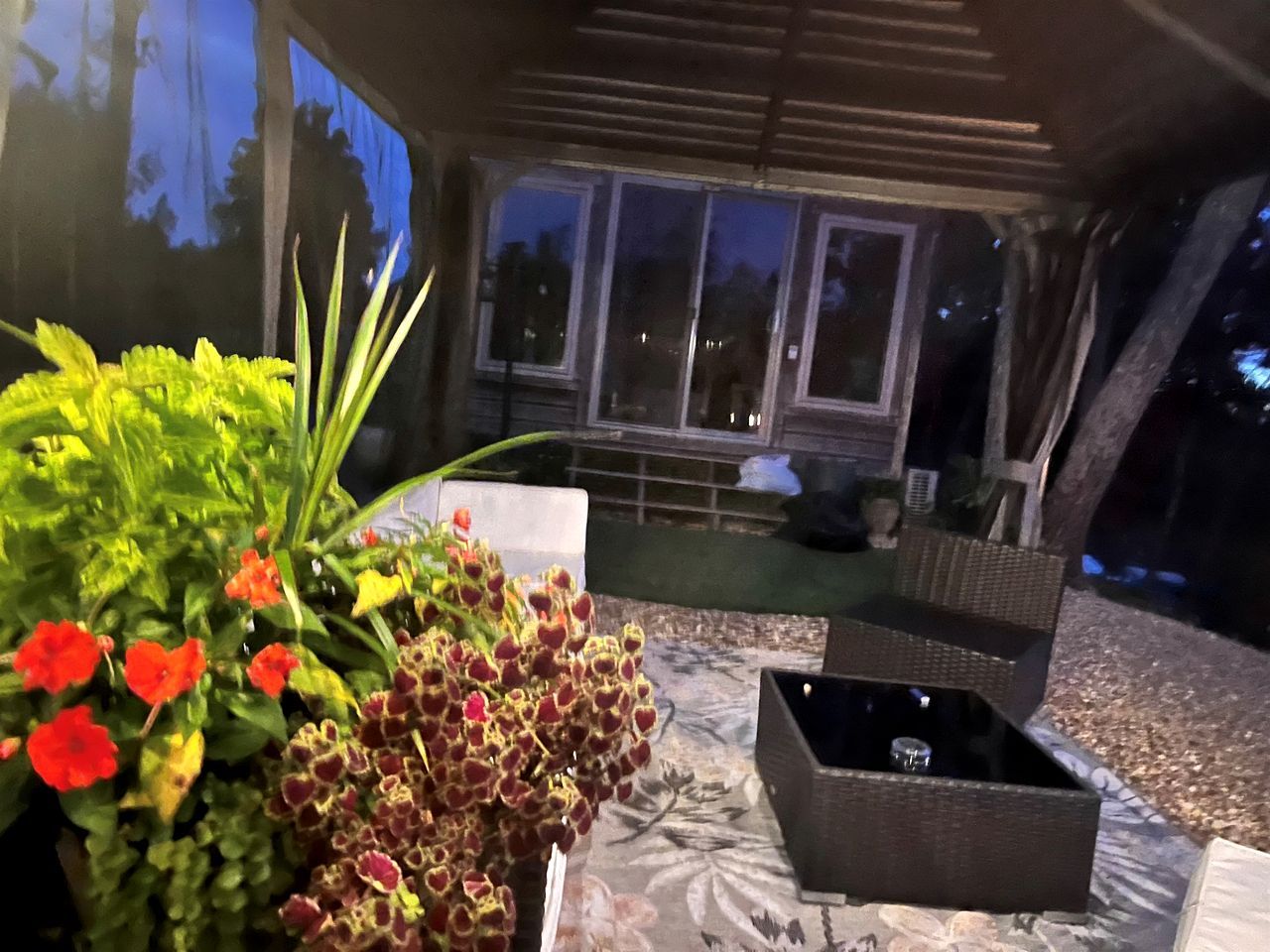 An outdoor seating area with a table and chairs, surrounded by potted plants and a view of the night sky.