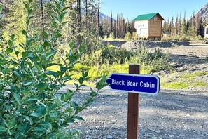 Property grounds - Romantic Lakefront Cabin with Mountain Views, Perfect for a Trip to Cantwell, Alaska (Cantwell)