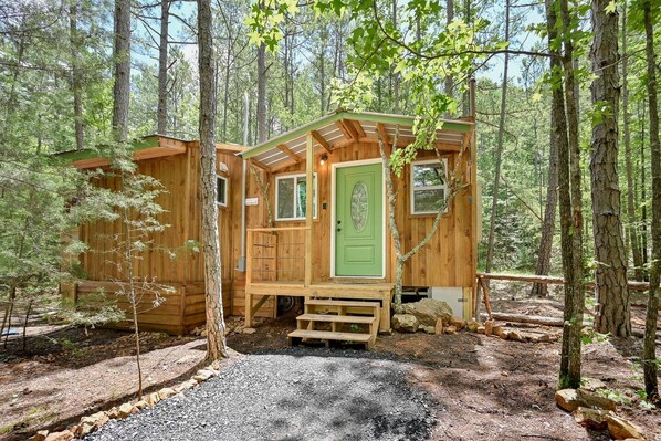 A wooden cabin with a green door, surrounded by trees.