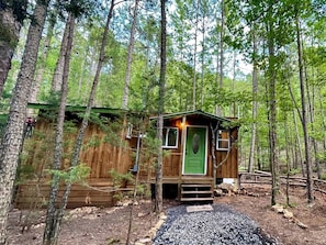 Una piccola baita di legno con una porta verde, immersa tra gli alberi.