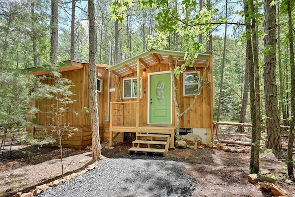 Une cabane en bois avec une porte verte, entourée d’arbres.