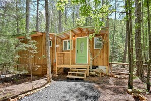 Une cabane en bois avec une porte verte, entourée d’arbres.