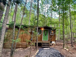 Una pequeña cabaña de madera con puerta verde, rodeada de árboles.