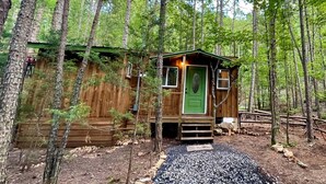 Uma cabana de madeira pequena com porta verde, rodeada por árvores.