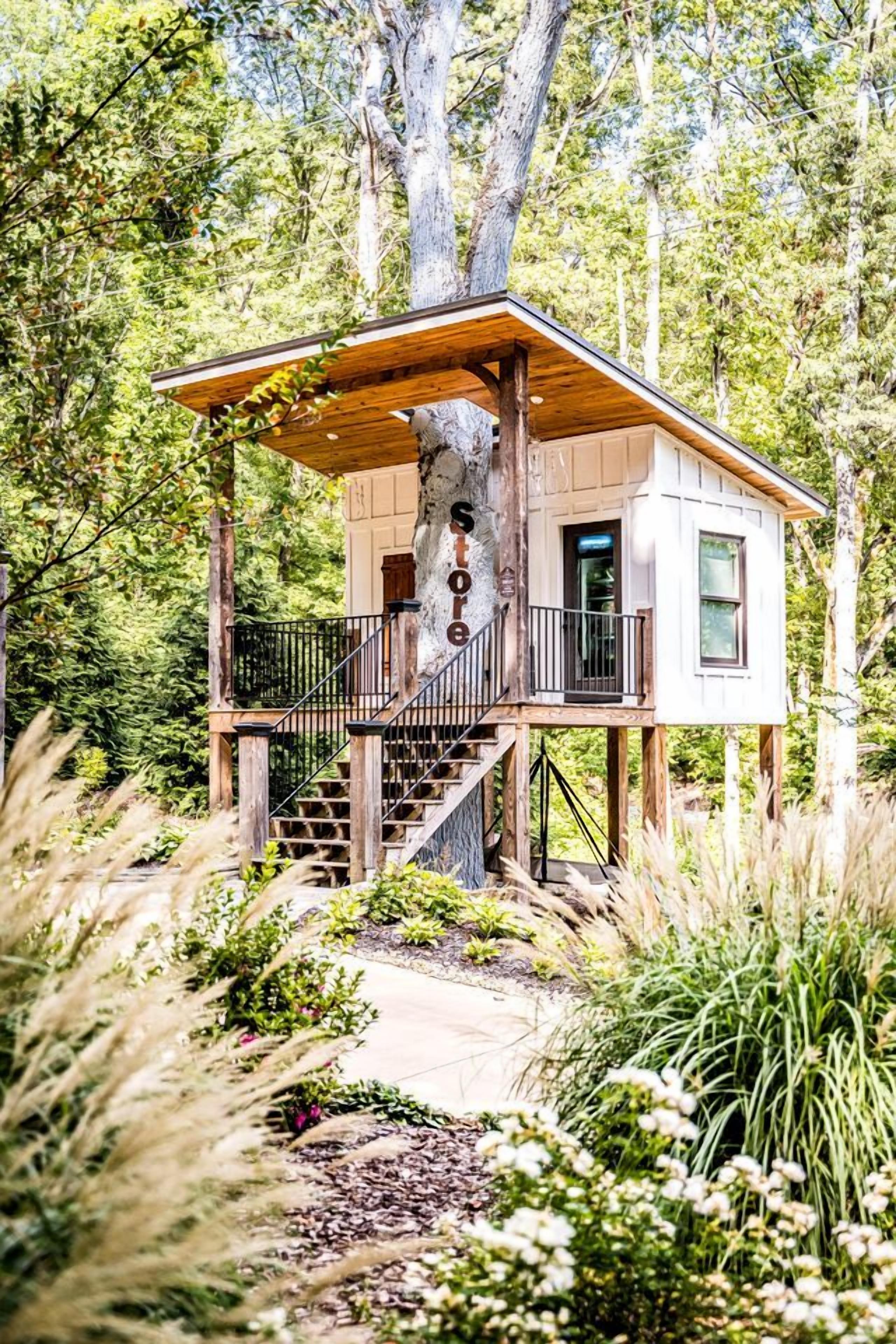 Une cabane dans les arbres avec une structure extérieure en bois, un balcon et un escalier menant à l’intérieur.