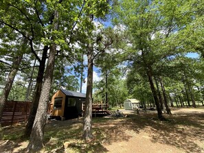 A rustic cabin with a wooden deck, surrounded by tall trees and a clear sky.