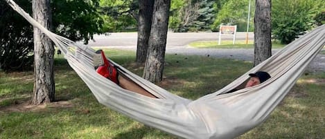 A hammock between trees in a grassy area with a road and sign in the background.