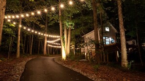 A forest path leading to a cabin with string lights overhead. - Off-grid Tree House Suitable for Four in Alabama (Scottsboro)