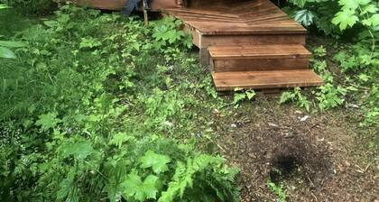 Alaskan Glamping Yurt in Seward for an Eco-Adventure