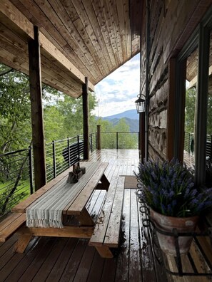 Une terrasse en bois avec un banc et des plantes en pot, offrant une vue sur un paysage montagneux.